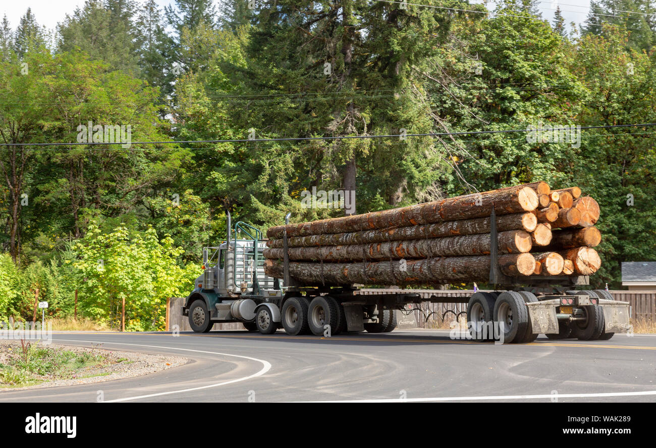 USA, Oregon, Gaston. Camión lleno de troncos. Crédito: Wendy Kaveney Jaynes / Galería / DanitaDelimont.com Foto de stock