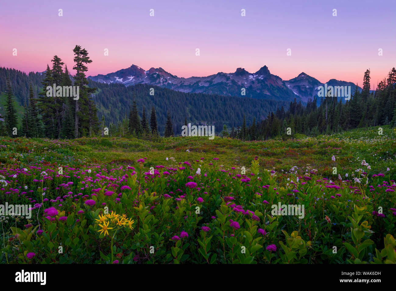 Ee.Uu., Estado de Washington, Mt. Parque Nacional Monte Rainier. Gama Tatoosh crepúsculo en verano. El crédito como: Dennis Kirkland Jaynes / Galería / DanitaDelimont.com Foto de stock