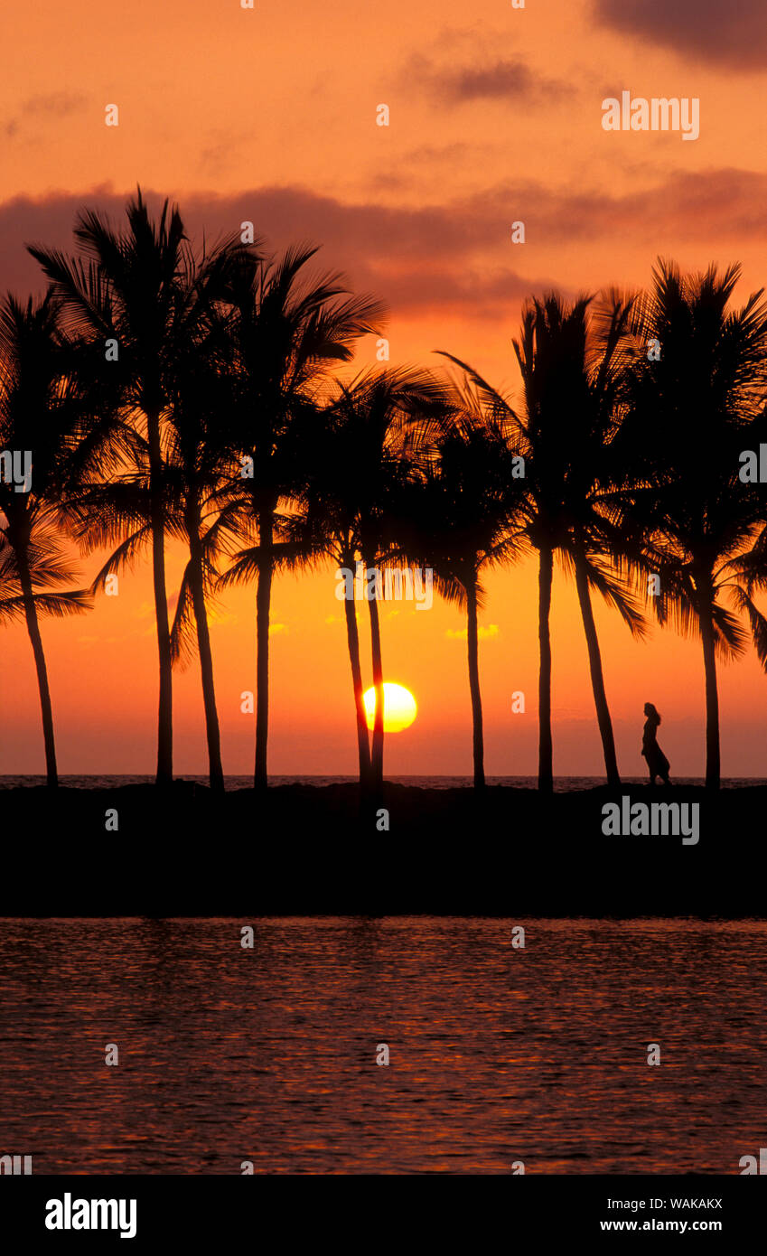 Siluetas de palmeras y mujer al atardecer, Costa Kohala, La Isla Grande de Hawai (MR) Foto de stock