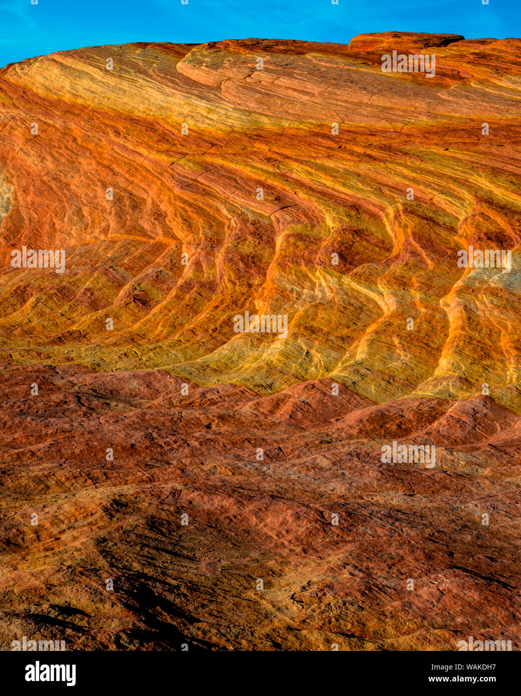 Estados Unidos, Nevada, Overton, el Parque Estatal Valle del Fuego. Formación de rocas multicolores. Crédito: Jay O'Brien / Galería / DanitaDelimont.com Jaynes Foto de stock