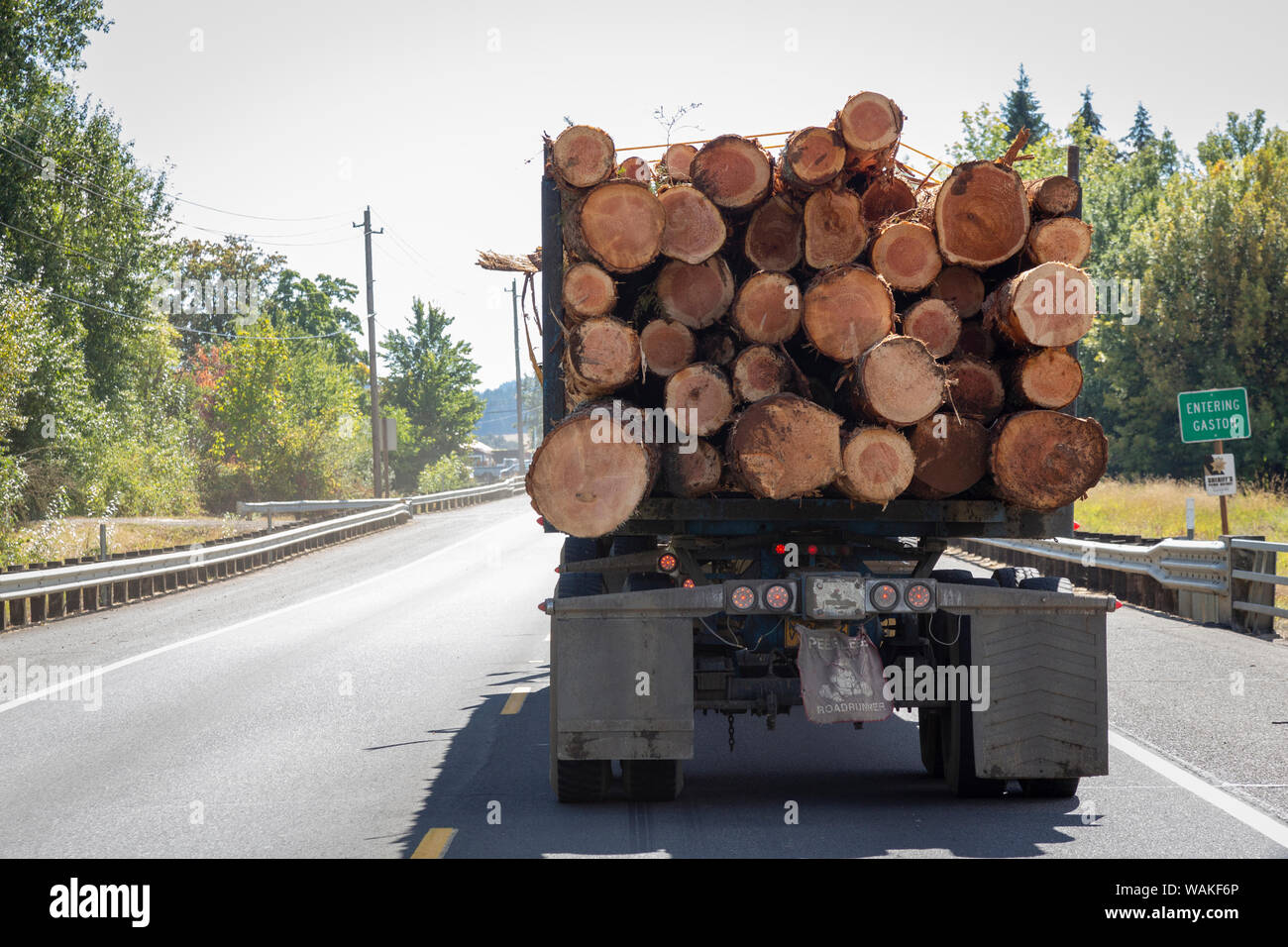 USA, Oregon, Gaston. Camión lleno de troncos. Crédito: Wendy Kaveney Jaynes / Galería / DanitaDelimont.com Foto de stock