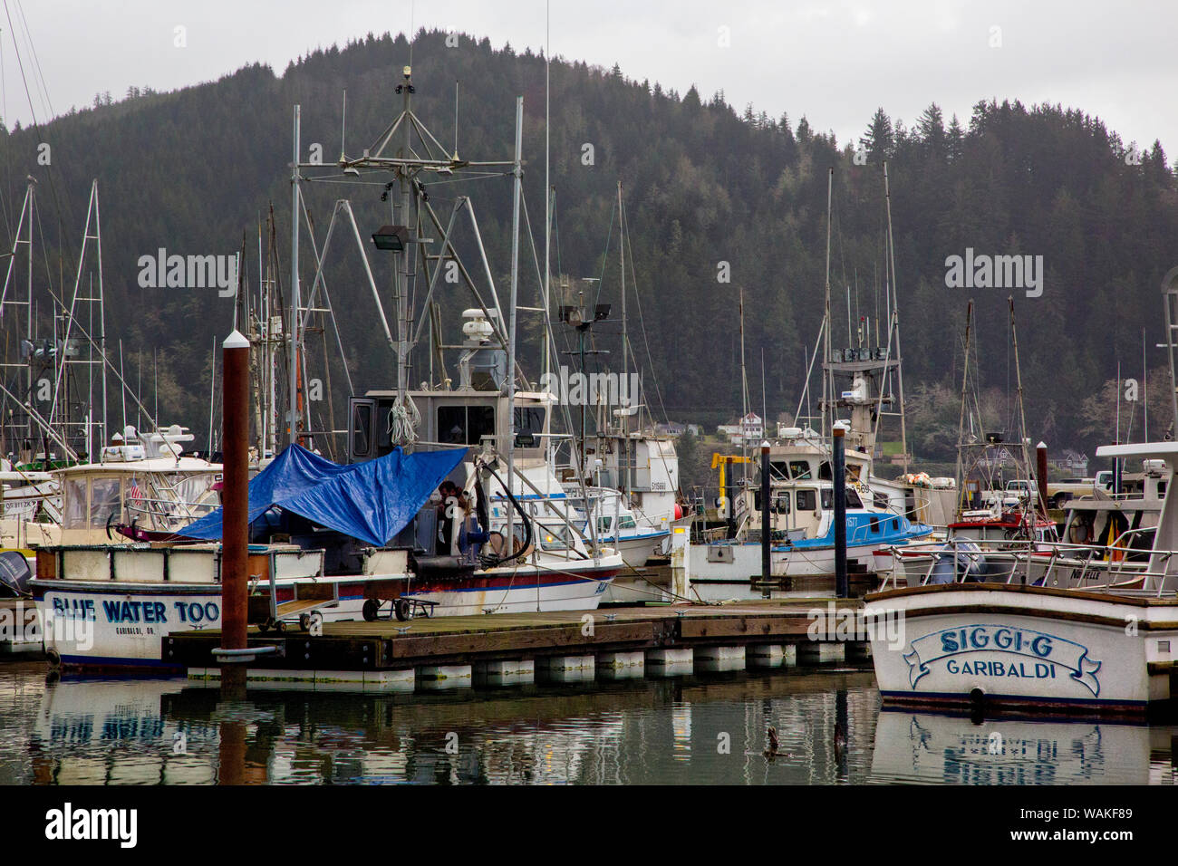 USA, Oregon, Charleston. La pesca comercial barcos amarrados en el puerto. El crédito como: Jean Carter Jaynes / Galería / DanitaDelimont.com Foto de stock
