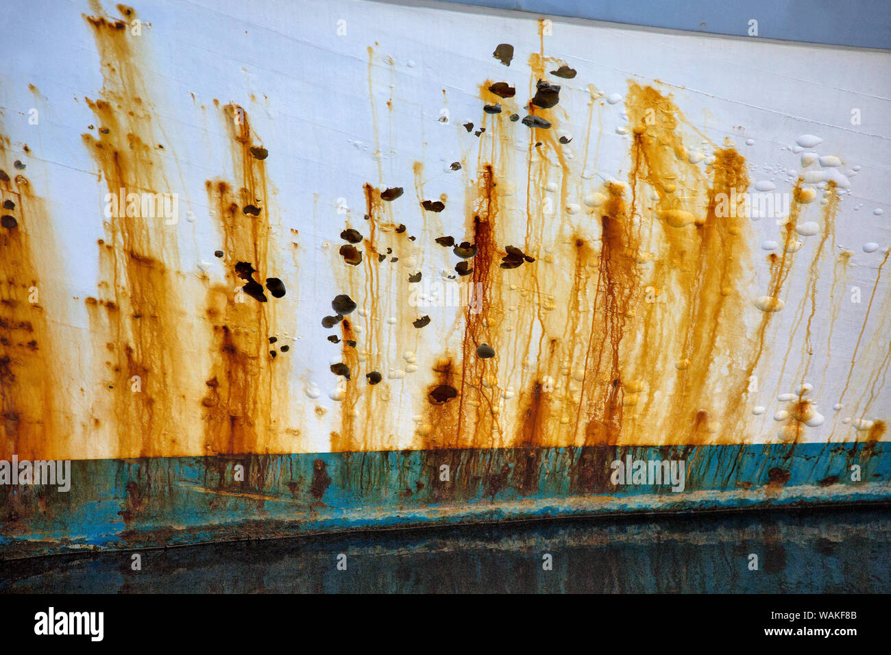 USA, Oregon, Charleston. Pintura oxidado en el lado del barco de pesca comercial. El crédito como: Jean Carter Jaynes / Galería / DanitaDelimont.com Foto de stock