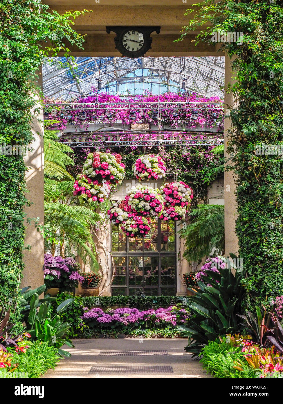 Estados Unidos, Pennsylvania. Jardín interior con grandes cestas colgantes  de hortensias Fotografía de stock - Alamy