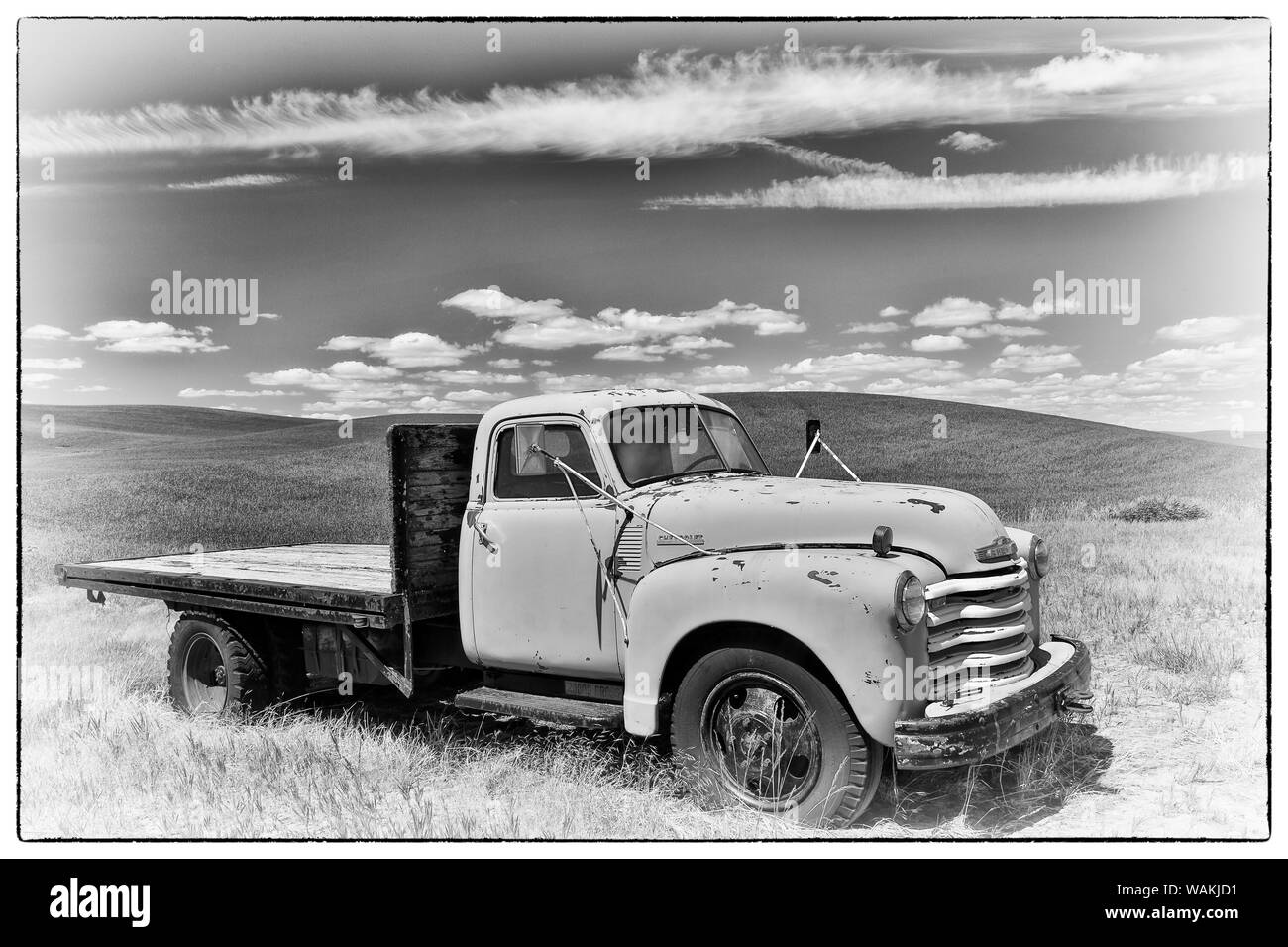 Chevy viejo camión en campo al este de Oakesdale, Eastern Washington Foto de stock