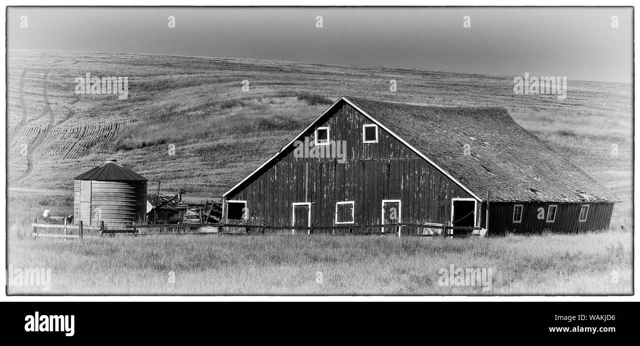 Blanco y negro granero y silo con campos de trigo al sur de San Juan, Washington oriental Foto de stock