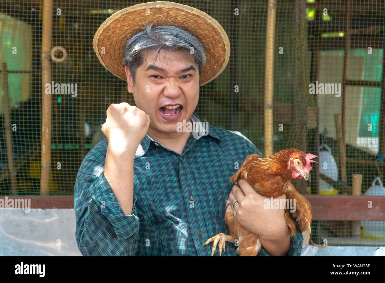 Feliz de mediana edad orgánica agricultor mantenga el pollo en sus brazos  en la parte delantera del gallinero en la campiña. El agricultor se alegra  del éxito. De granjas de pollos que