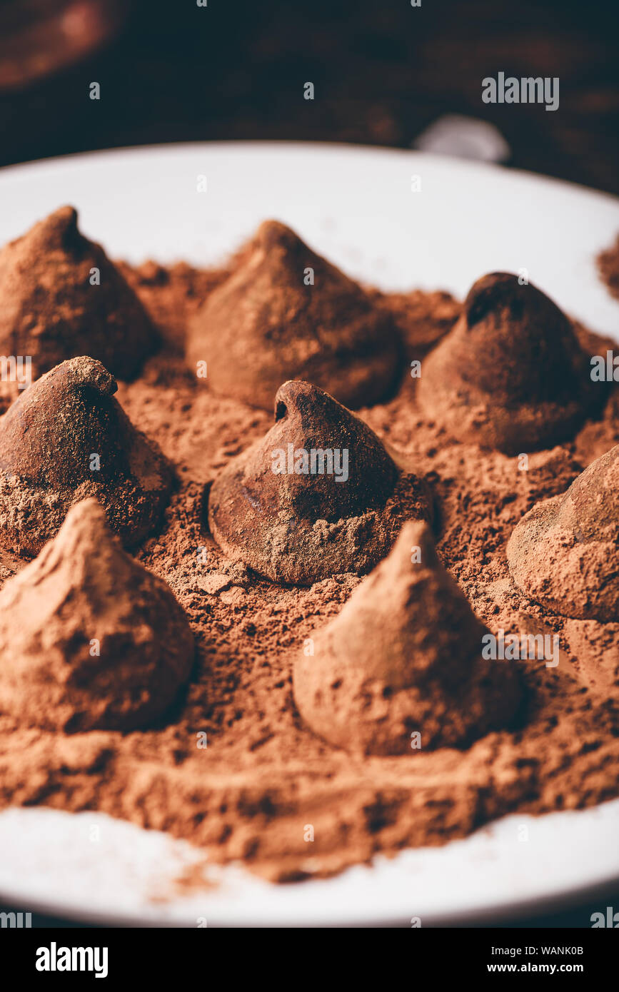 Trufas de chocolate caseras recubiertos de cacao en polvo sobre la placa blanca. Foto de stock