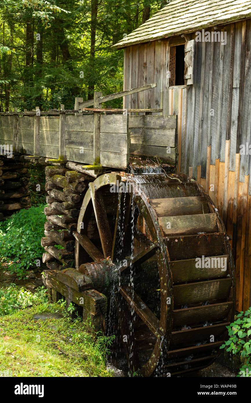La rueda y el viejo molino de agua en el bosque. Cades Cove, Smoky Mountains National Park, Tennessee Foto de stock