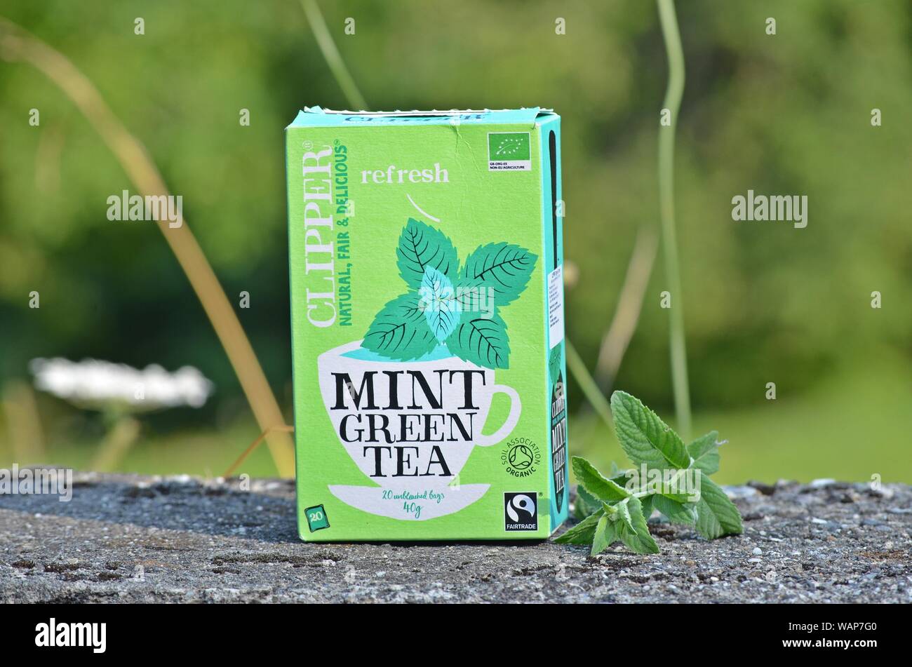 Embalaje de Clipper 'Mint' Té Verde fotografiado en una valla de hormigón, con una verdadera pared de hojas de menta, junto a ella, en un pueblo de montaña en Montenegro Foto de stock