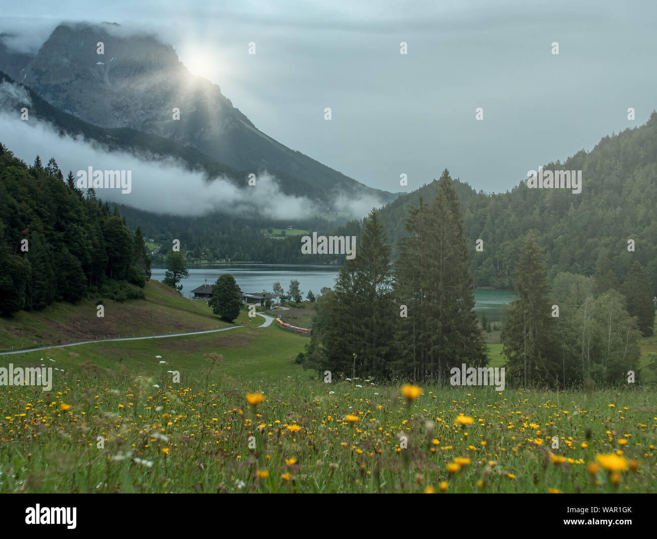 Blooming hermoso paisaje con montañas en Europa - Austria Foto de stock