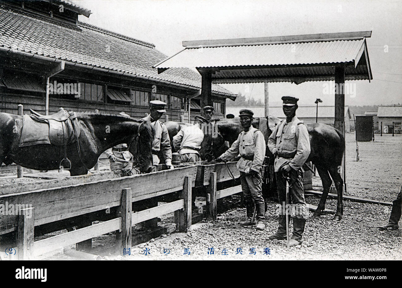 [ 1910s Japón - caballería japonesa ] - Japonés en la base de caballería, abrevar a los caballos. Vintage del siglo xx postal. Foto de stock