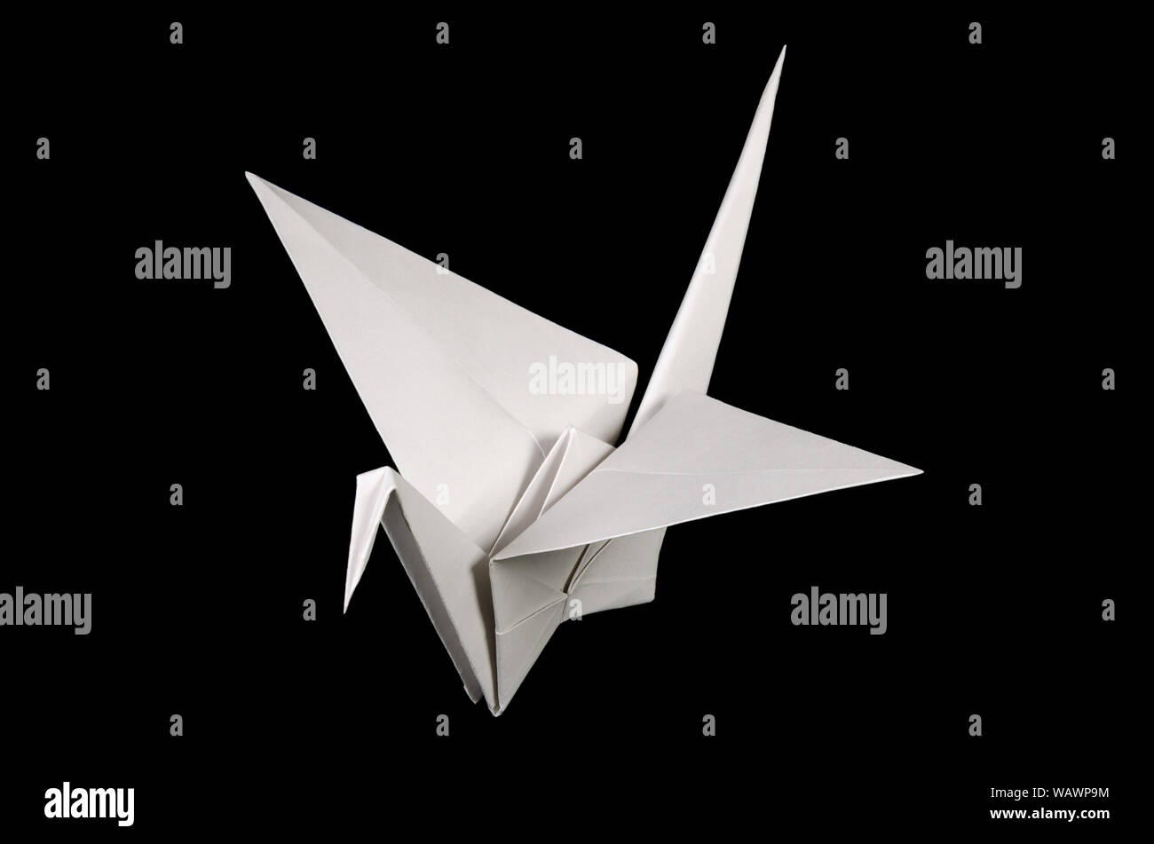 Origami crane, tsuru blanco, sobre fondo negro. Arte japonés de plegado de papel. Hoja de papel cuadrado plano transferidos a terminado de escultura. Foto de stock