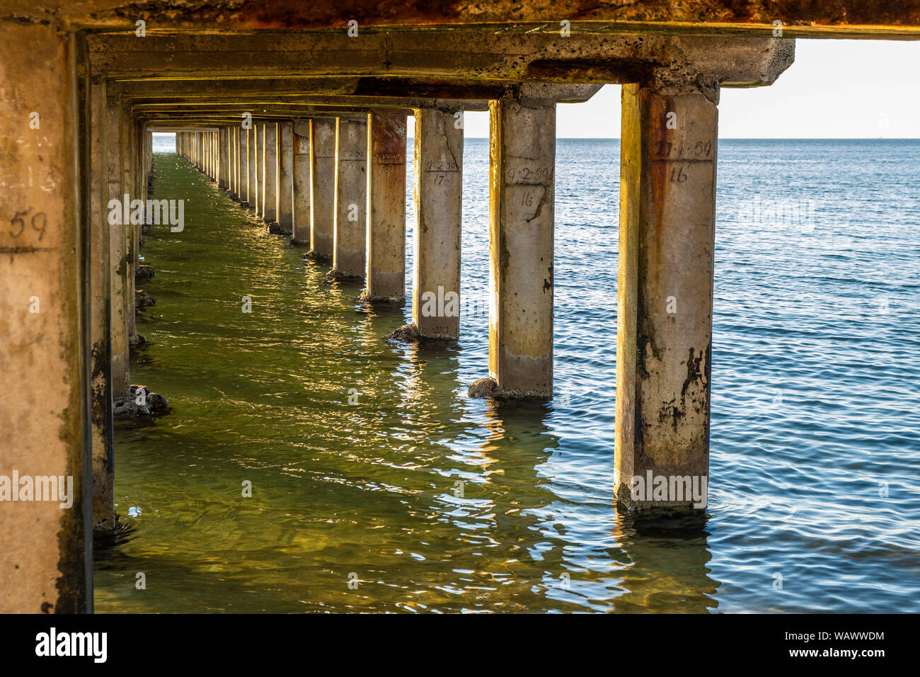 Perspectiva decreciente de pilares de madera debajo de un muelle en la costa del océano Foto de stock