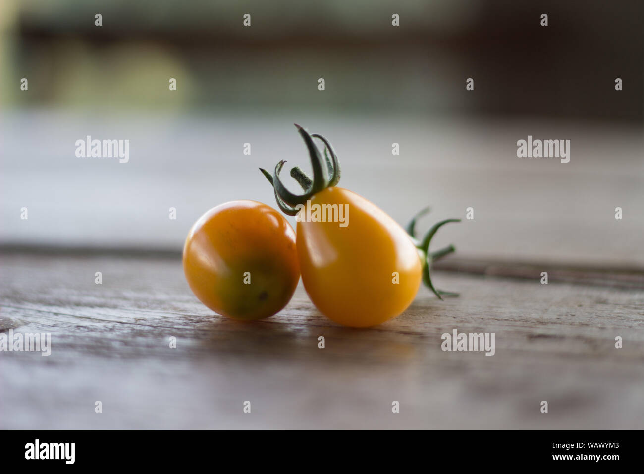 Amarillo cosecha de tomate fresco del jardín Foto de stock