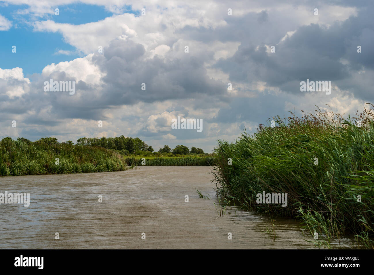 Ver a través de un desagüe con reed y dramático de las nubes en el cielo azul en Frisia, Baja Sajonia, Alemania Foto de stock