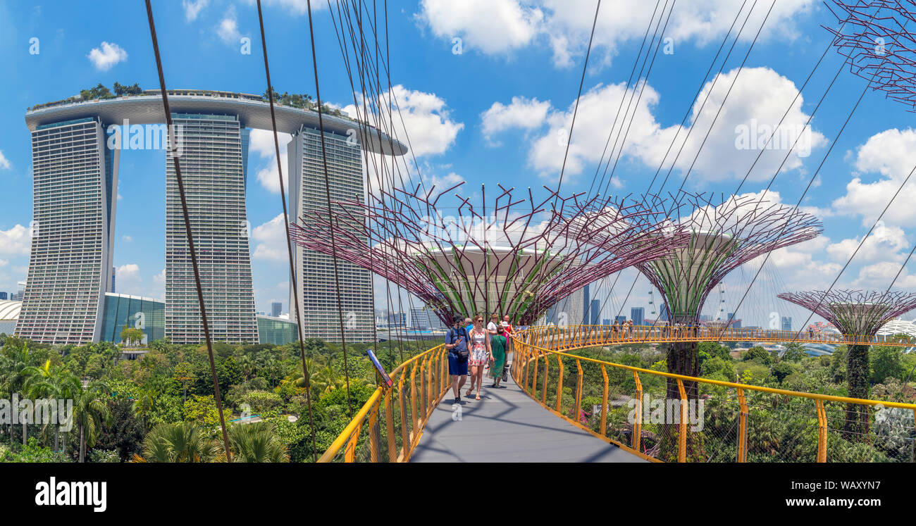 El OCBC Skyway, un pasaje aéreo en el Grove, Supertree mirando hacia Marina Bay Sands, jardines junto a la bahía, la ciudad de Singapur, Singapur Foto de stock