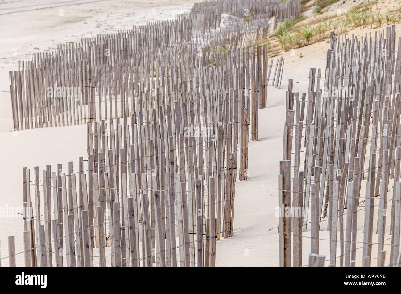 Valla de madera en un ventoso y arena, Long Island, Nueva York Foto de stock