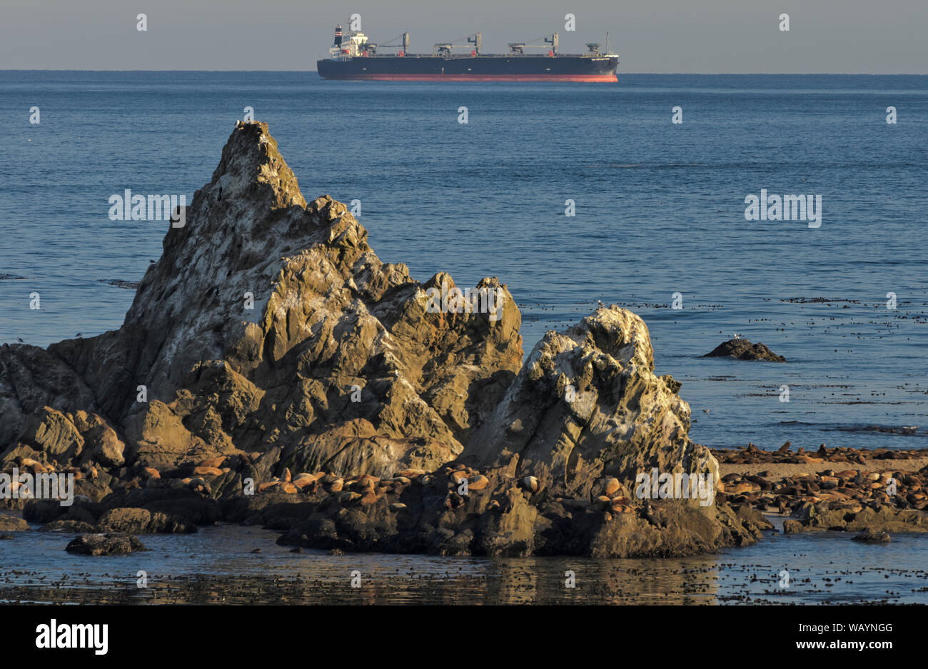 Un barco de transporte es visto desde los acantilados en la costa Acres State Park en Cape Arago, cerca de Charleston, Oregon, en el Coos Bay area Foto de stock