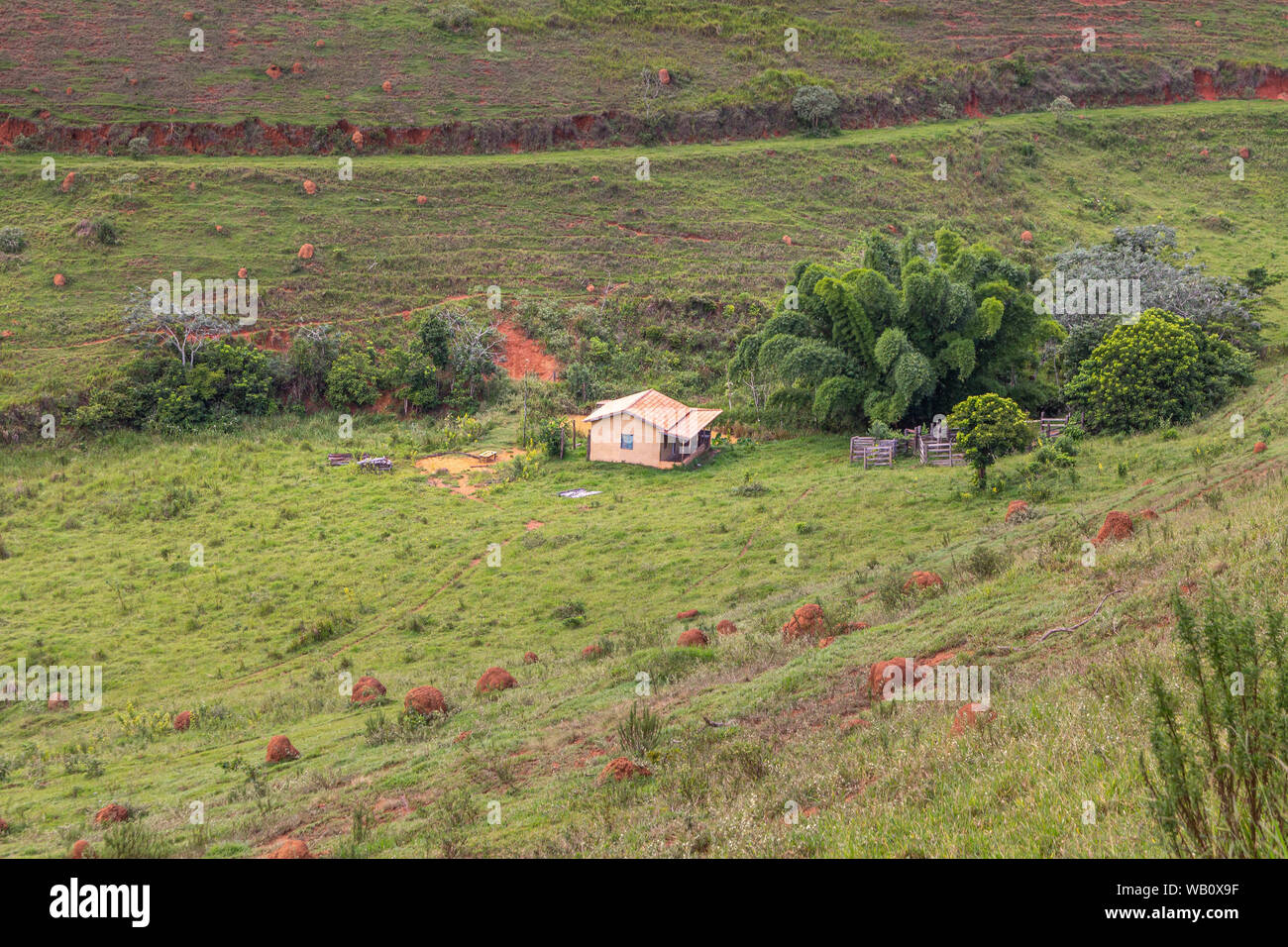 Pequeña granja aislada en medio del campo verde y colinas, Minas Gerais, Brasil Foto de stock