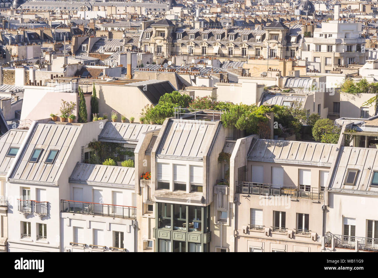 Los tejados verdes de París - vista aérea de tejados de París en una tarde de verano, Francia, Europa. Foto de stock