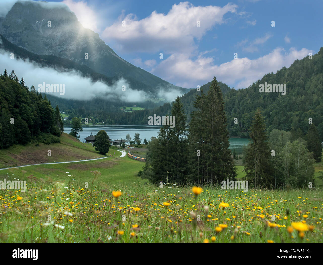 Blooming hermoso paisaje con montañas en Europa - Austria Foto de stock