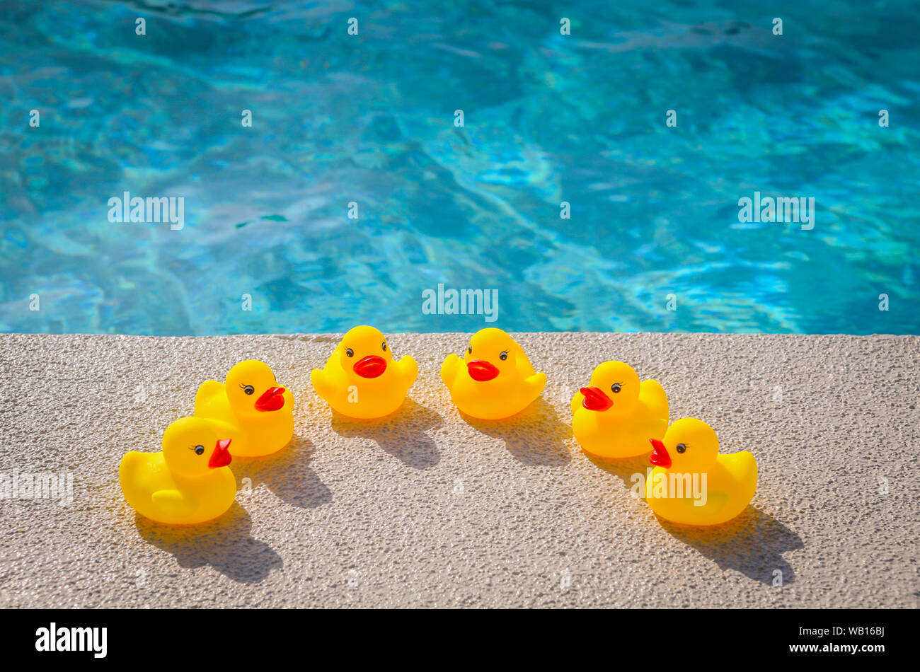 Patitos de goma disfrutando del sol en una piscina Foto de stock