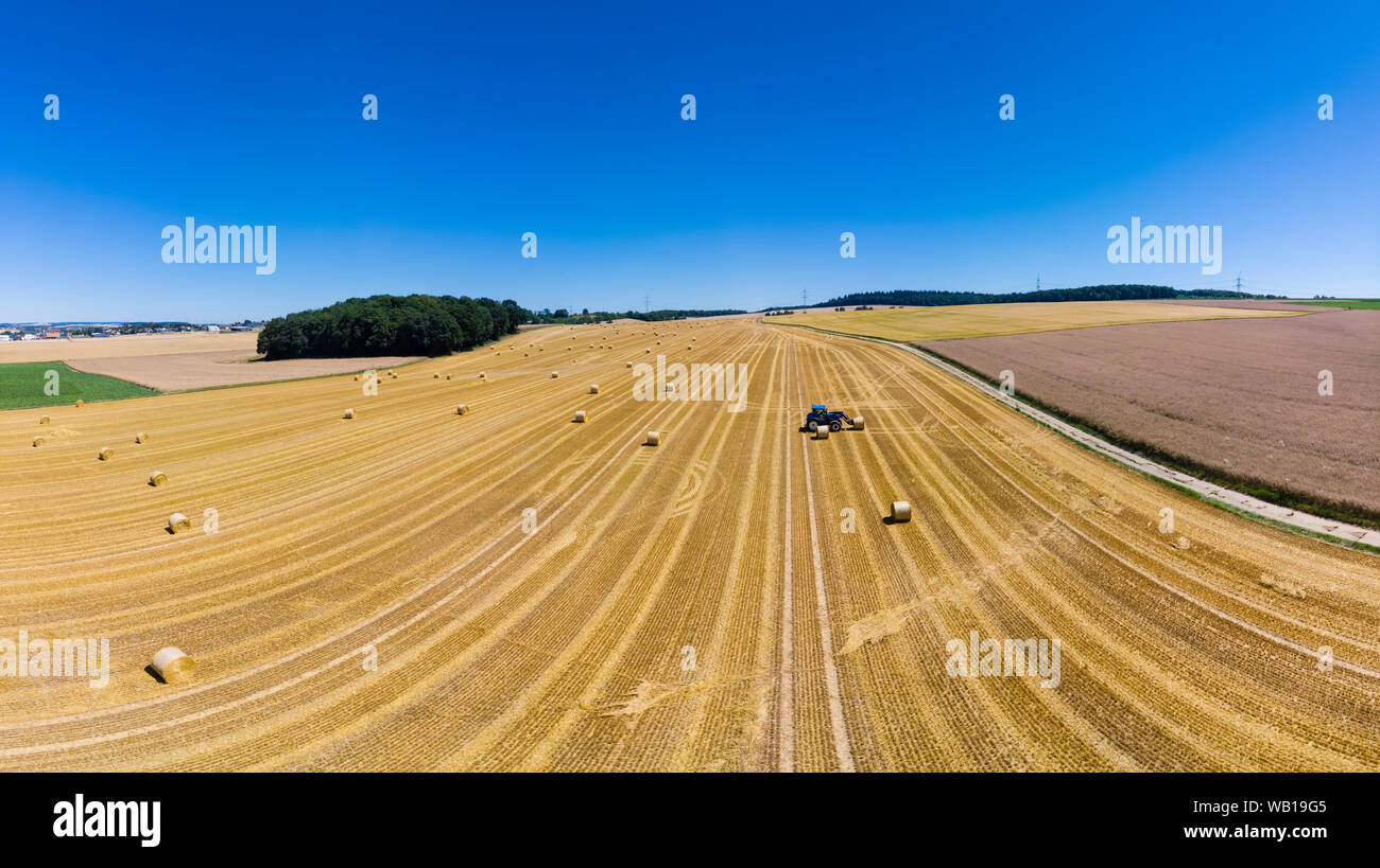 Alemania, campo cosechado, vista aérea Foto de stock