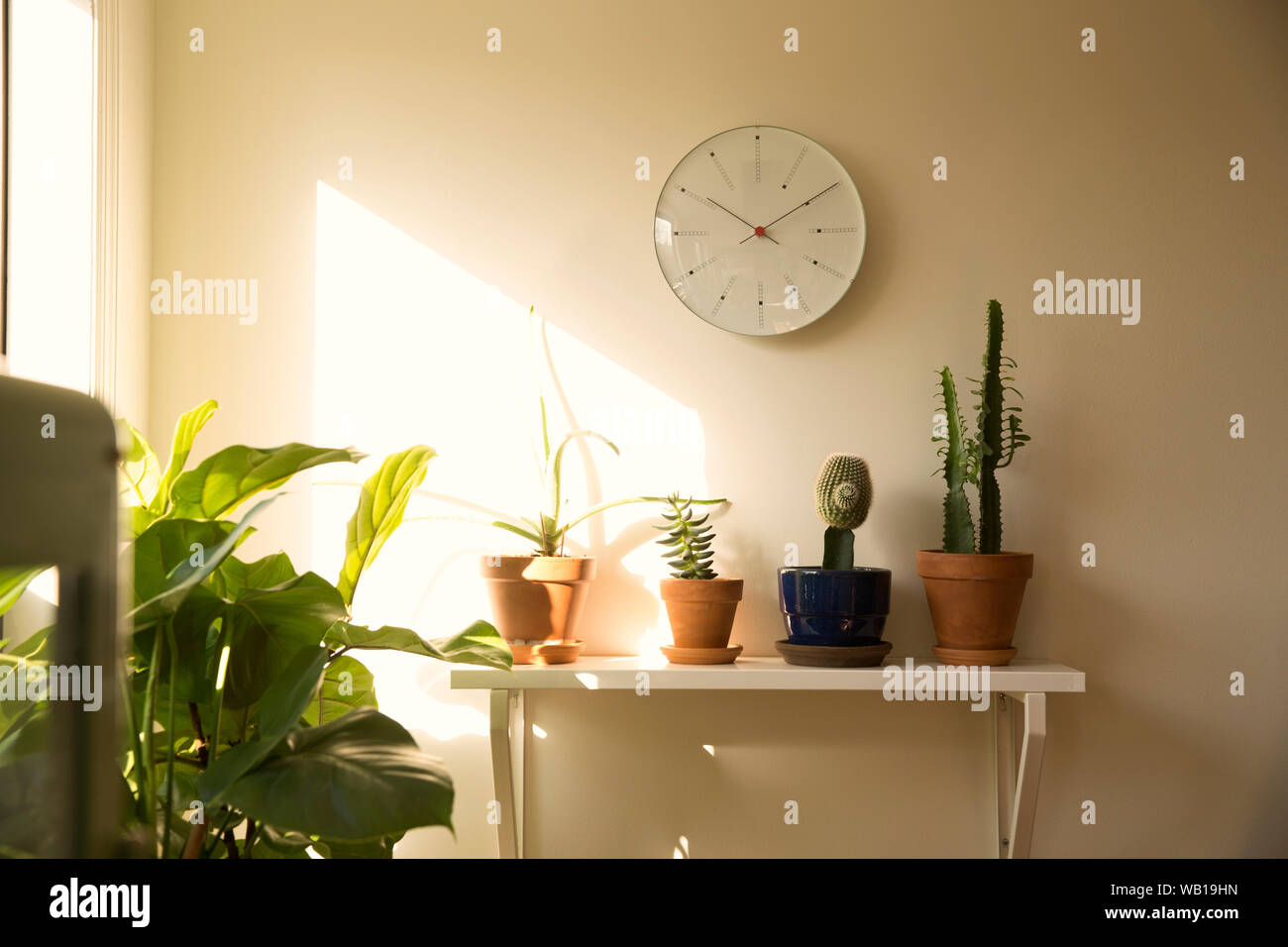 Reloj De Pared Y Plantas En Macetas En El Estante En Un Salon