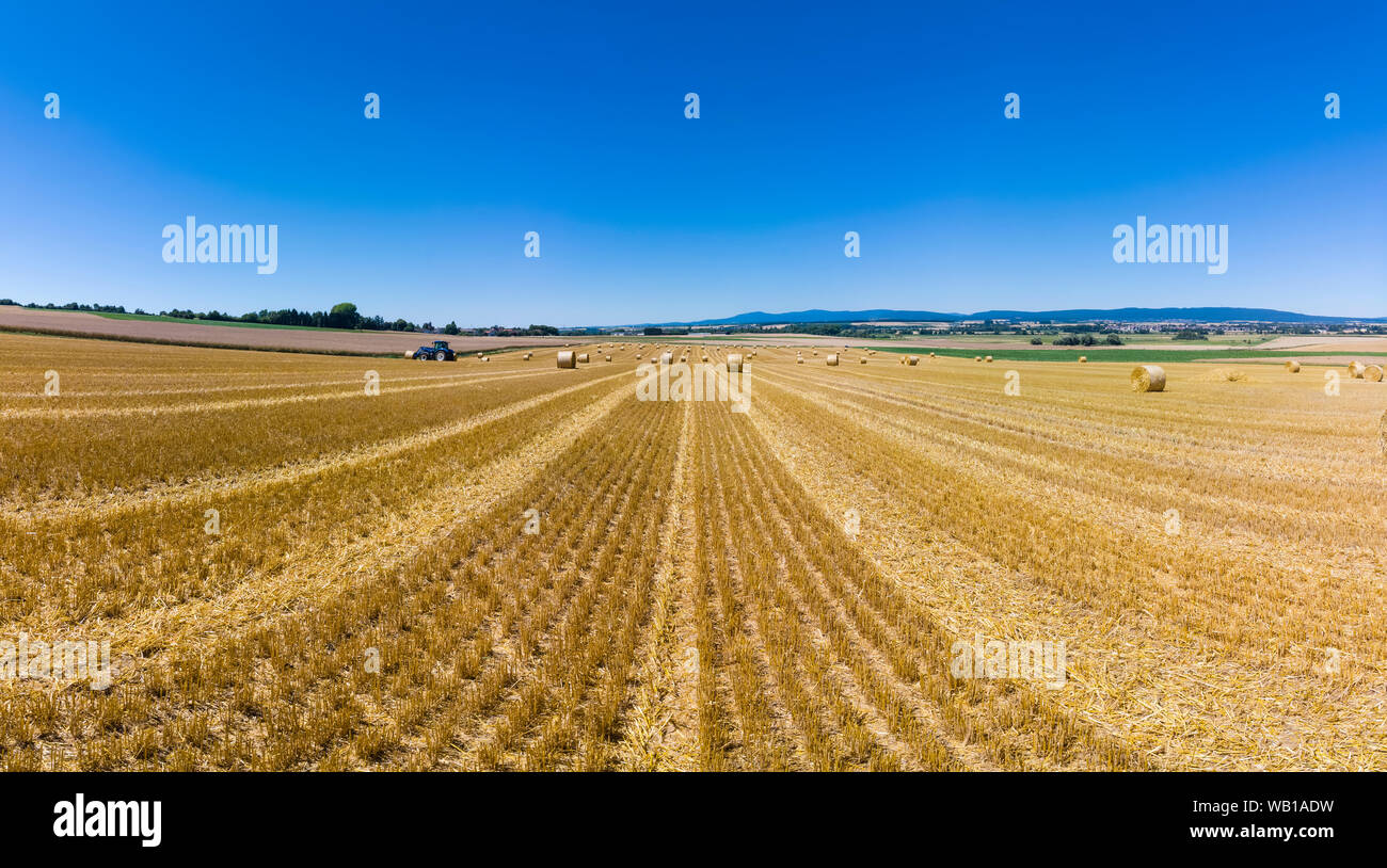 Alemania, campo cosechado Foto de stock