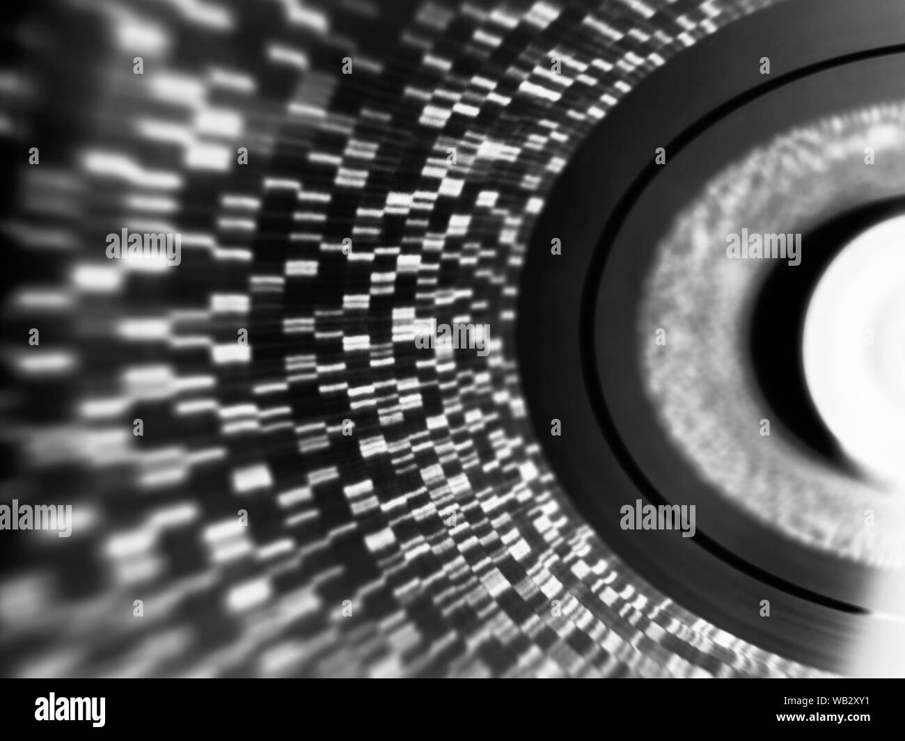 La investigación genética. El ADN (ácido desoxirribonucleico) autoradiogram ilustrando los resultados genéticos. Foto de stock