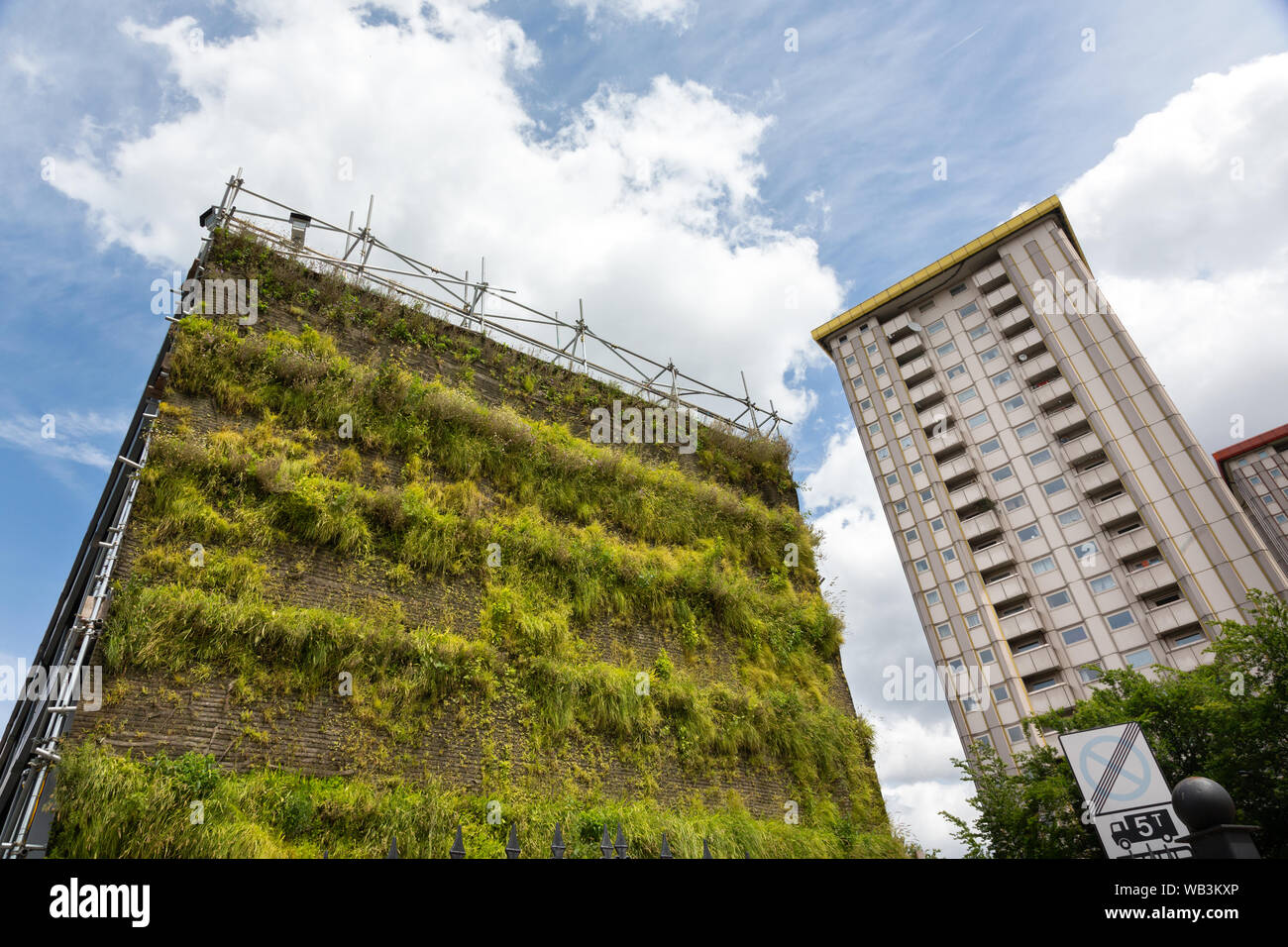 Pared verde vivo, Hampstead Road, Camden, Londres, Reino Unido. Foto de stock