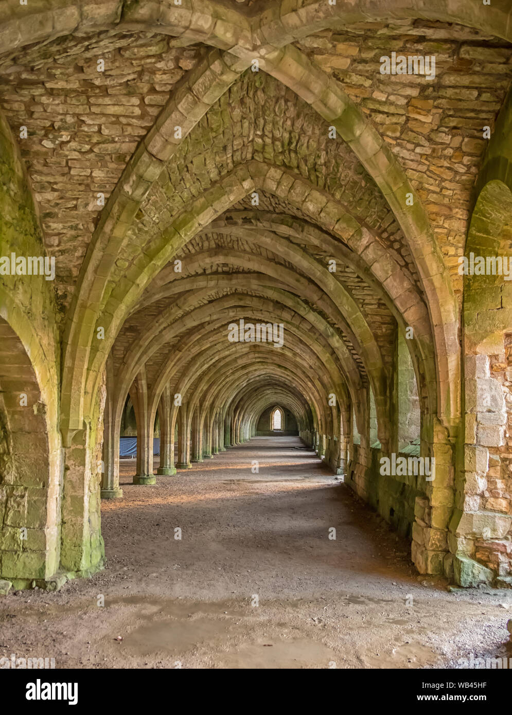Luz del atardecer sobre las ruinas de Fountains Abbey, Studley Royal Park, North Yorkshire, Ripon, Inglaterra - un sitio de Patrimonio Mundial de la UNESCO Foto de stock