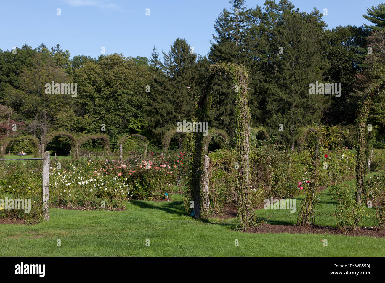 Elizabeth Park Rose Garden en la ciudad de Hartford, Connecticut