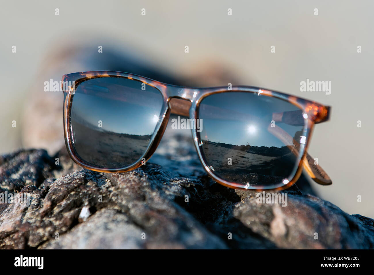 Gafas de sol de moda contemporánea muestra leopard estilo de impresión tintados  lentes reflectantes mientras aparezca en la playa drifwood textura de  registro Fotografía de stock - Alamy