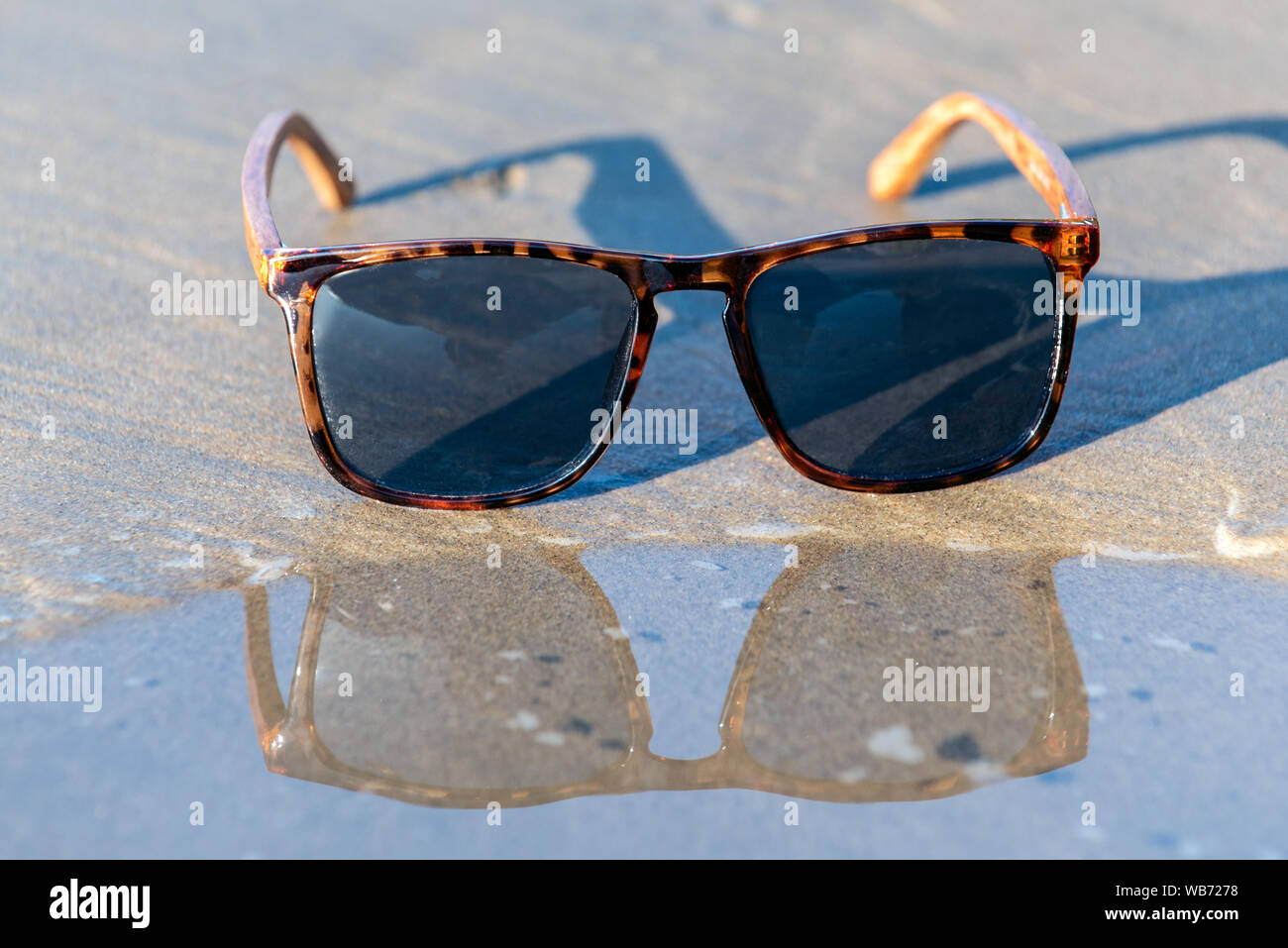 Gafas sol de moda contemporánea muestra leopard estilo tintados lentes reflectantes reflejan sobre mojado shoreline de Sunny Beach Fotografía de stock - Alamy