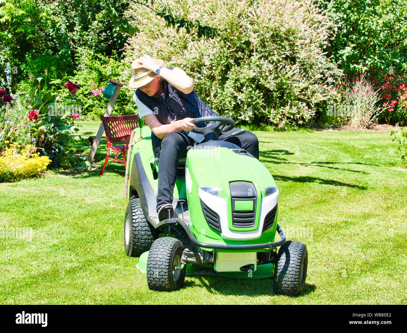 Mujer madura con sombrero conducir un tractor cortacésped en el jardín con  flores. Paseo verde y blanco en la segadora, un giro en el campo entre  flores de colores. C Fotografía de