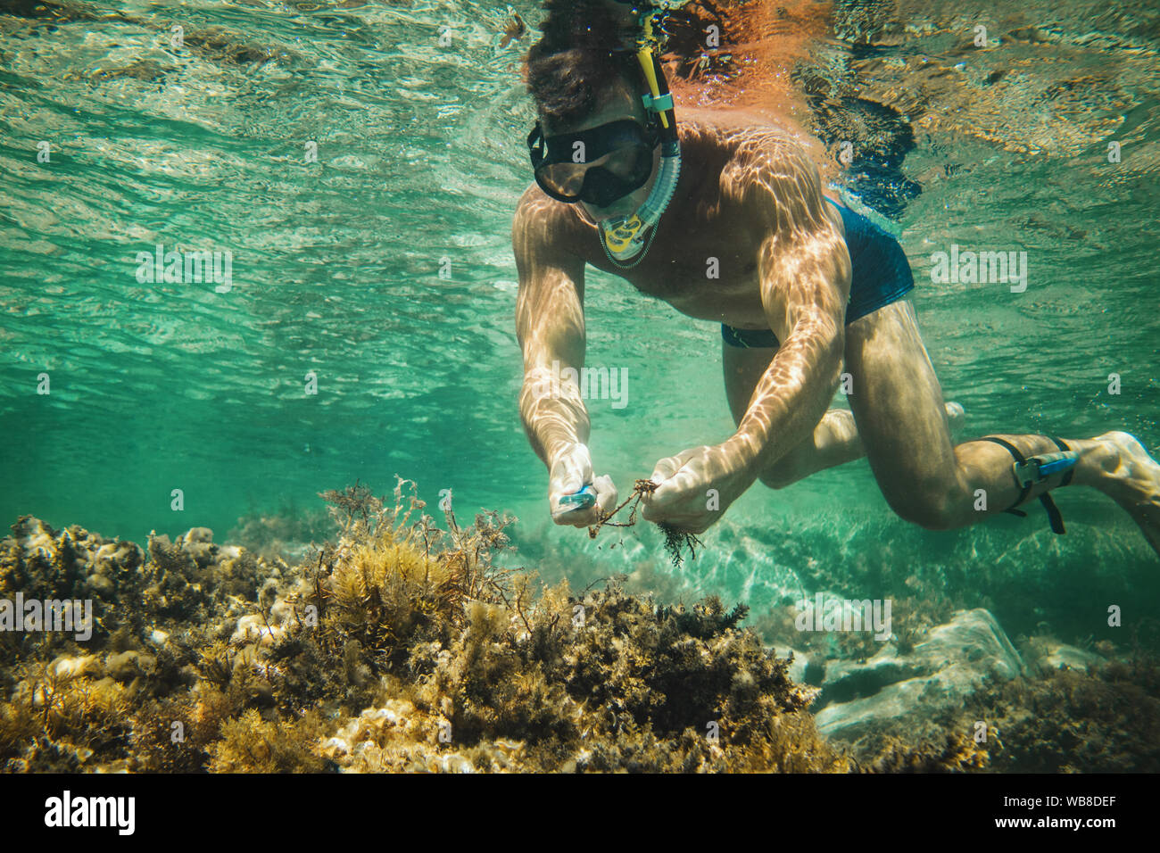 Guapo se diviertan en las vacaciones de verano y explorar el fondo marino durante el buceo en el mar. Foto de stock