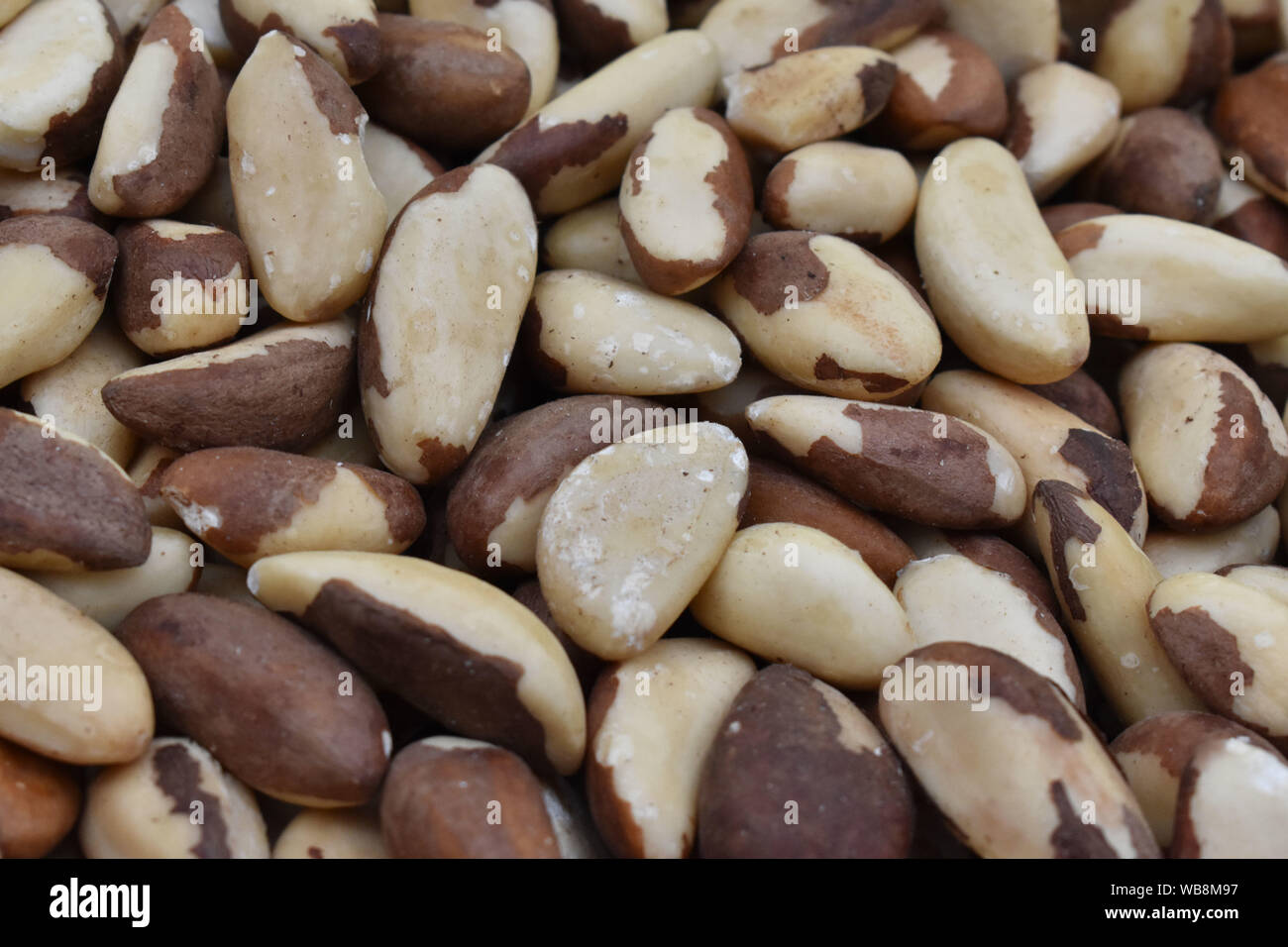 Las nueces de Brasil a granel Foto de stock