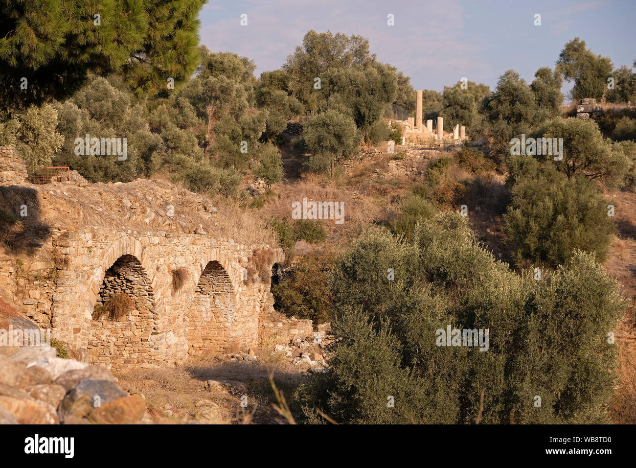 Nisa, una de las más importantes ciudades de Caria en época helenística y romana, está situado en la carretera que une a Aydin. Foto de stock