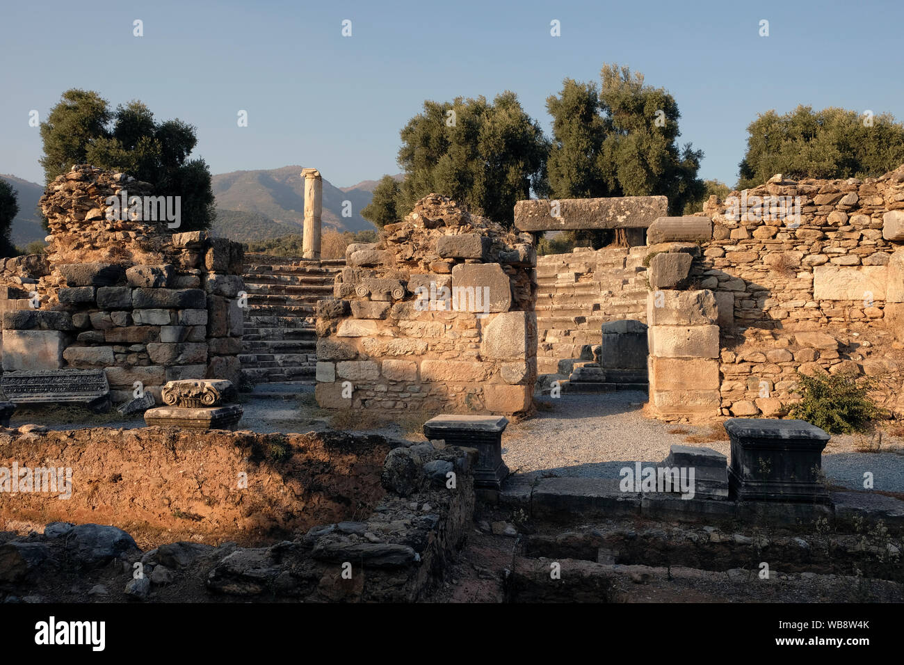 Nisa, una de las más importantes ciudades de Caria en época helenística y romana, está situado en la carretera que une a Aydin. Foto de stock