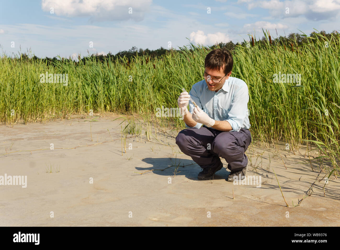 Campo biólogo investigador examina una muestra de suelo en un tubo de ensayo contra un pantano seco Foto de stock