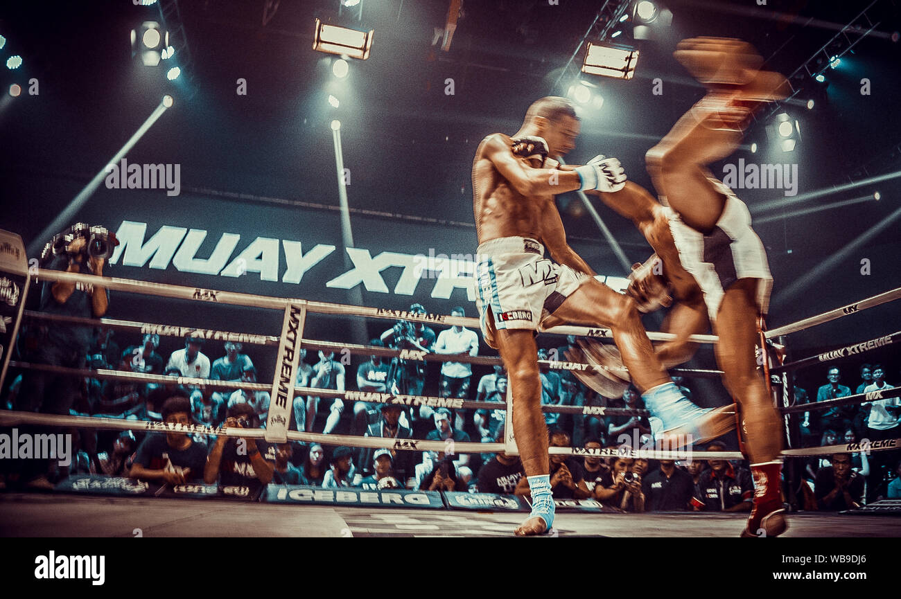Pantalones De Boxeo Profesional De Muay Thai Para Hombres, Entrenamiento Y  Competición De Lucha