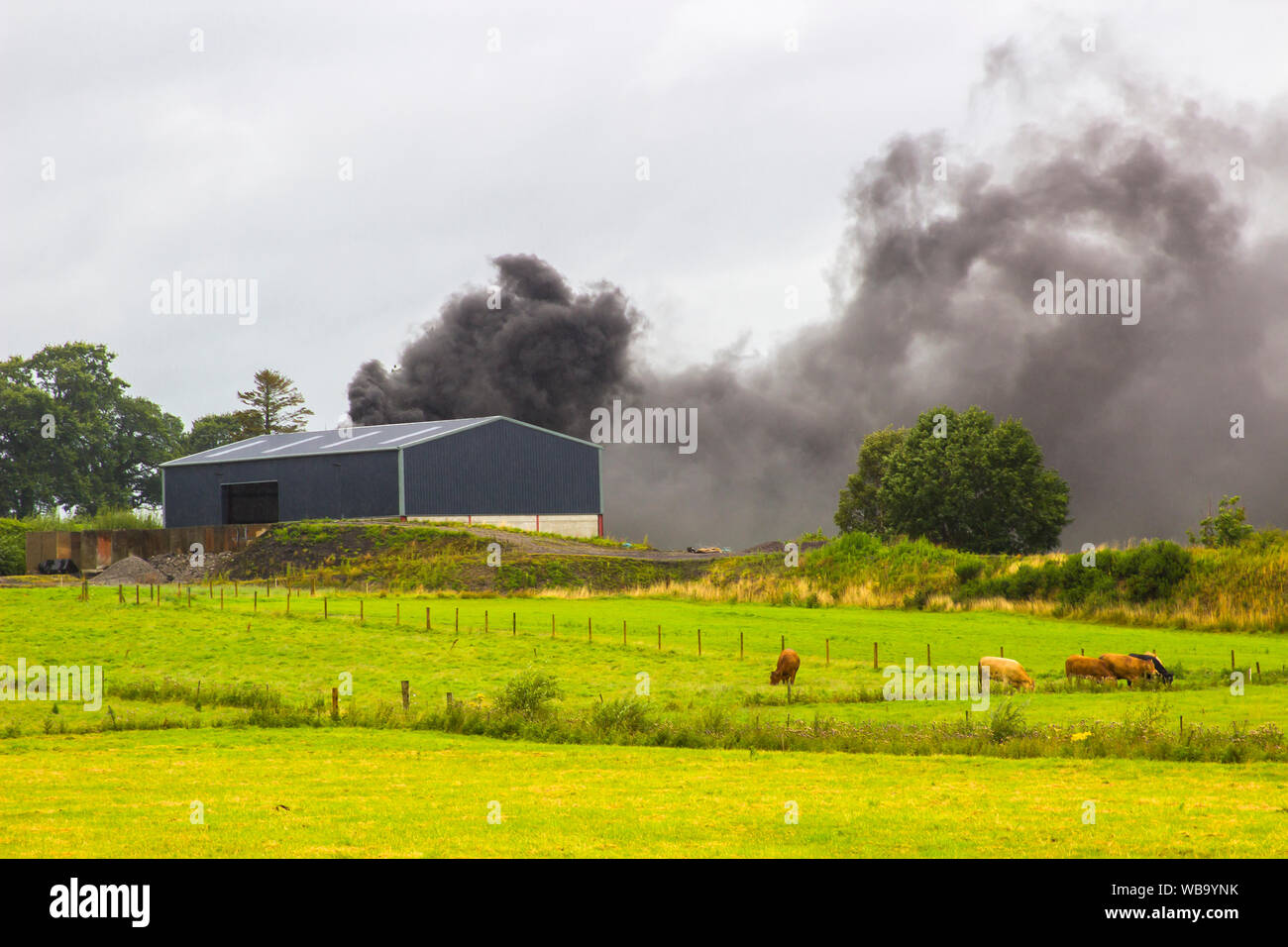 Negro espeso humo acre de una granja fuego causando contaminación al medio ambiente en el Condado de Tyrone, en Irlanda del Norte en un húmedo día de verano. Este fuego fue Foto de stock