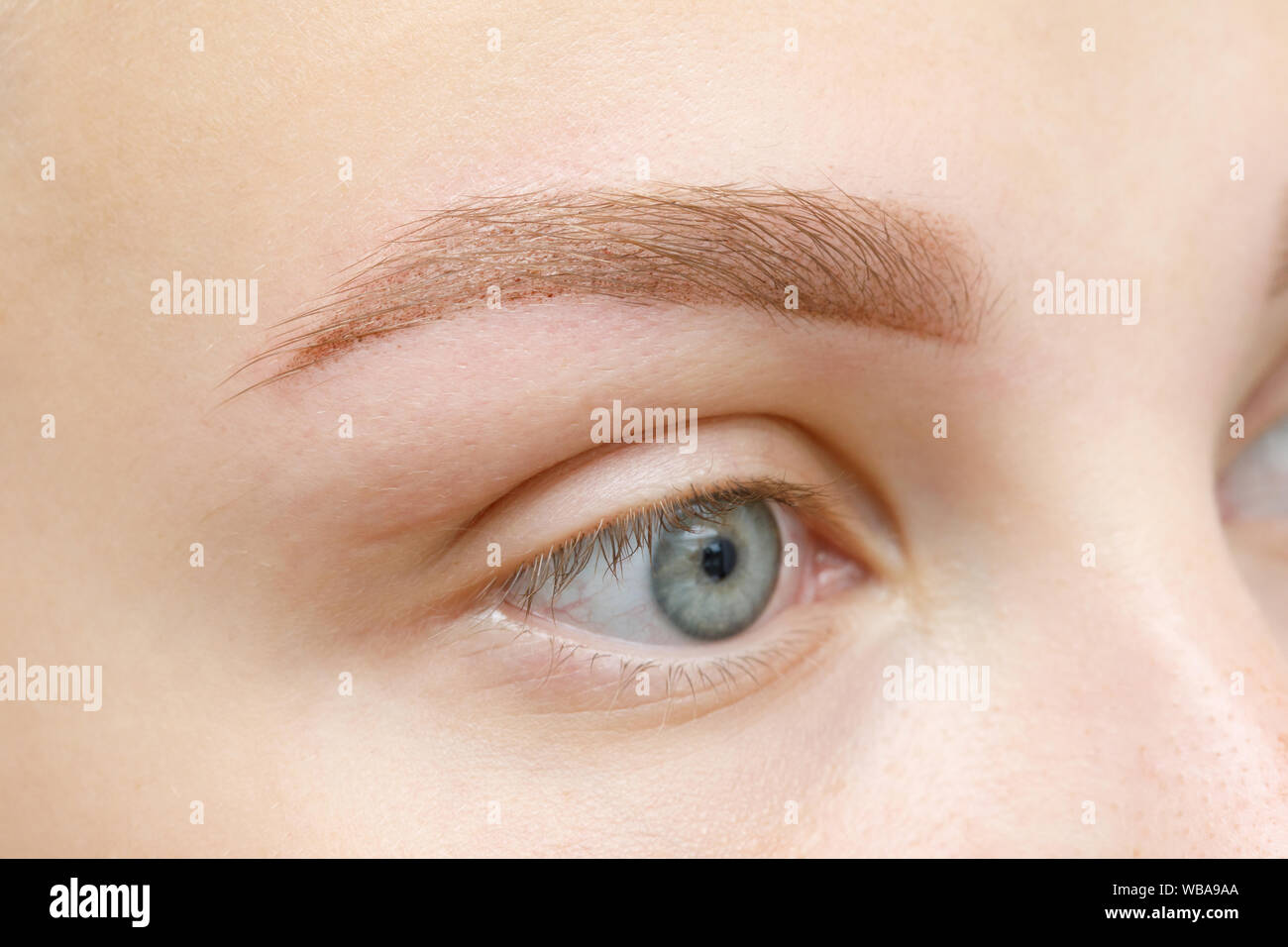 Macro vista de ojo. Resultado de maquillaje permanente, tatuajes de cejas  en salón de belleza Fotografía de stock - Alamy