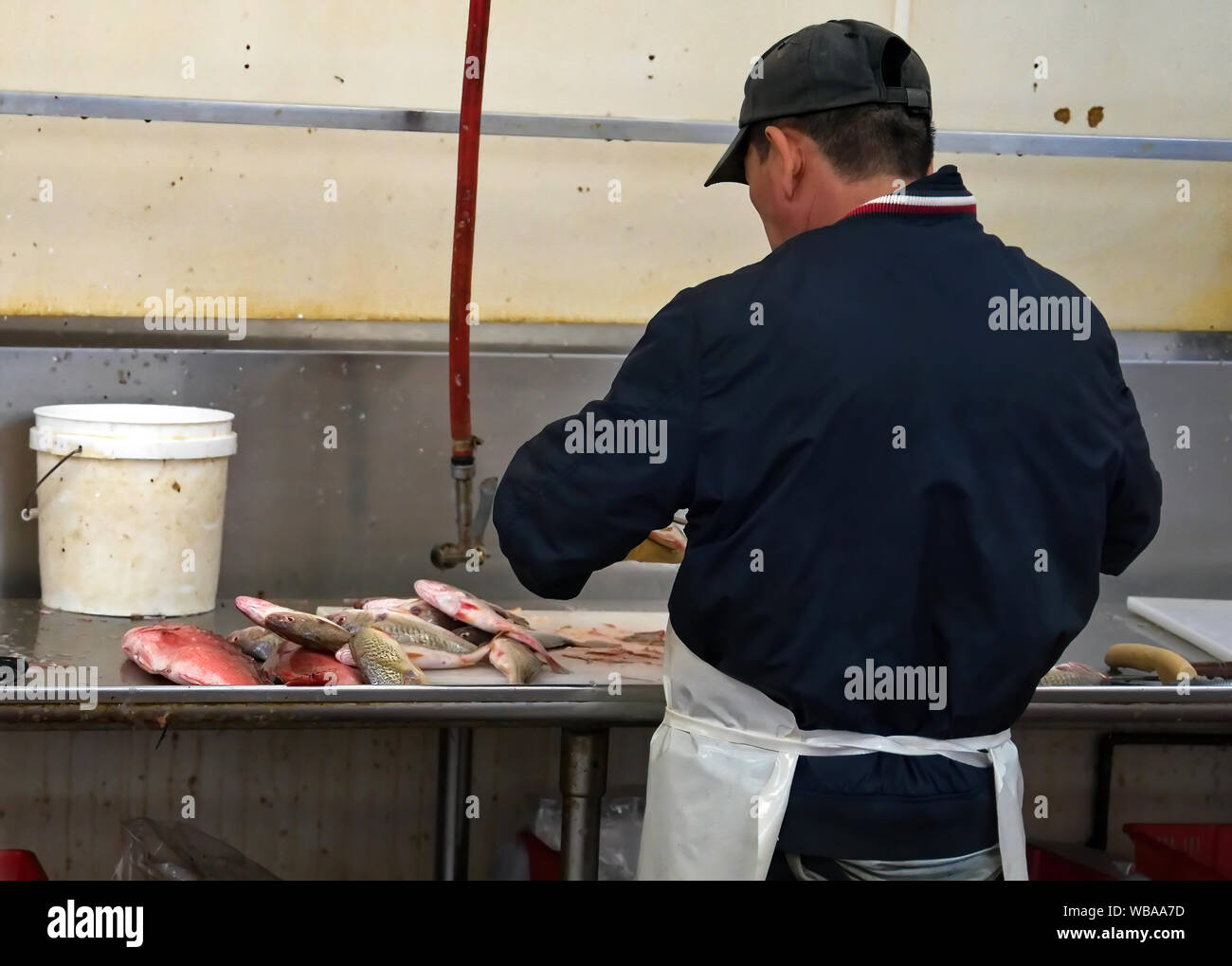 Mercado de Mariscos trabajador evisceración y limpiando pescado antes del pesaje y el traspaso a un cliente en espera. Foto de stock