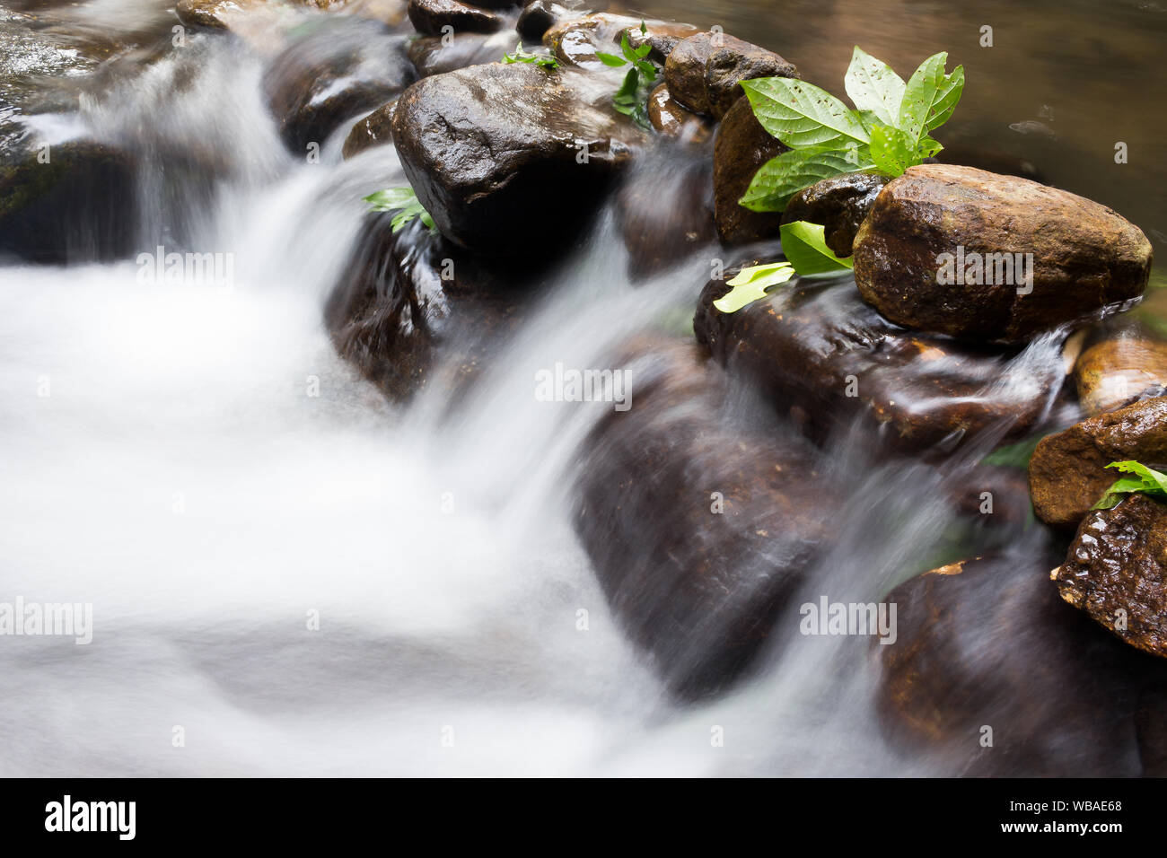 Foto de obturador lento de un pequeño arroyo de agua fluyendo aunque las piedras pequeñas Foto de stock