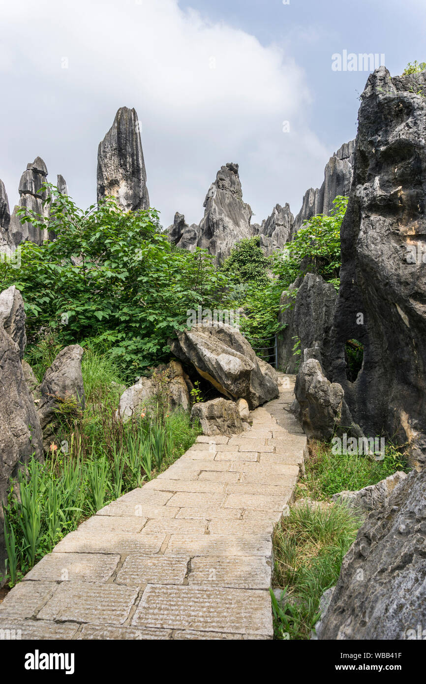 Visita al bosque de piedras, Kunming, Provincia de Yunnan, China. Formaciones de piedra caliza situada en el condado de Shilin Yi autónoma.tomada el 8 de agosto de 2019. Foto de stock