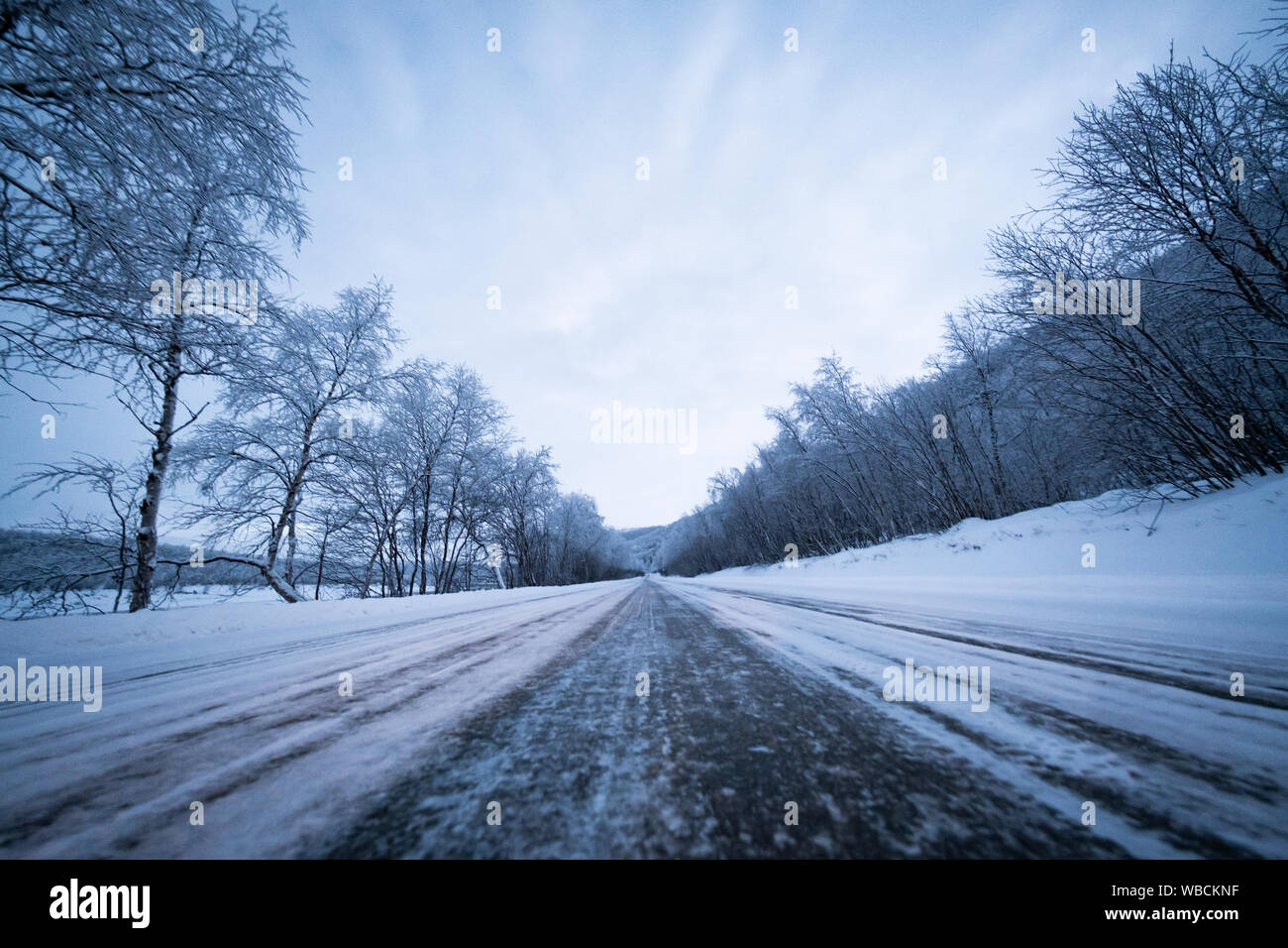Carretera Nevada entre los árboles cubiertos de nieve en Laponia Foto de stock