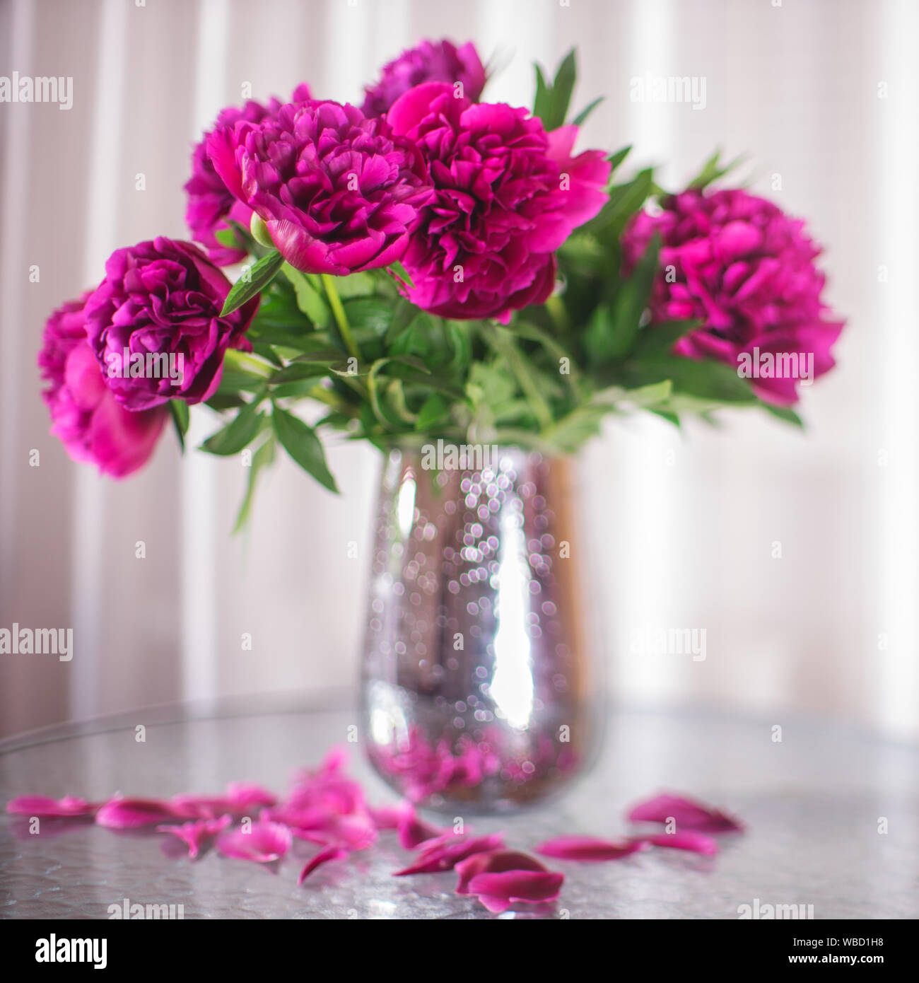 Bouquet de peonías flores rosa oscuro en un florero Foto de stock